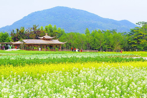 ���״���ɽ��԰